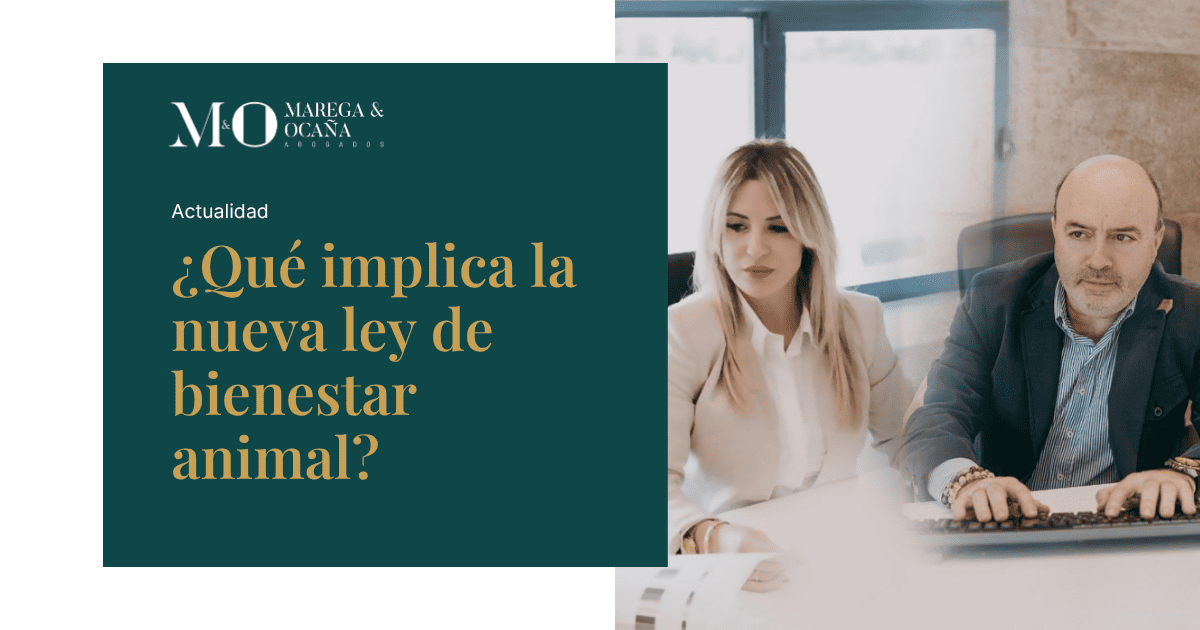 ¿Qué implica la nueva ley de bienestar animal?.png